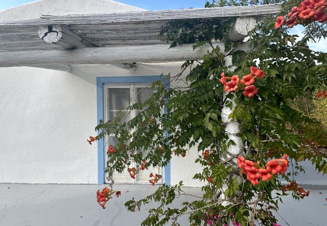 Villa em Grândola - The Lavender House