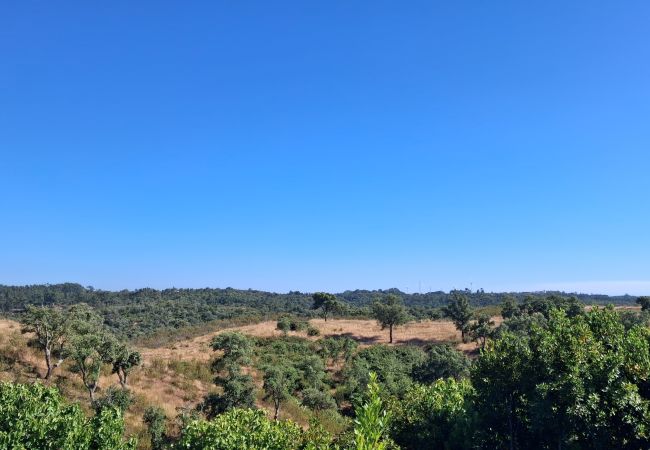 Villa em Cercal do Alentejo - Porto Covo Villa