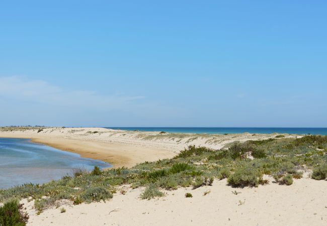 Villa in Tavira - Algarve Natural Park Villa by The Getaway Collection