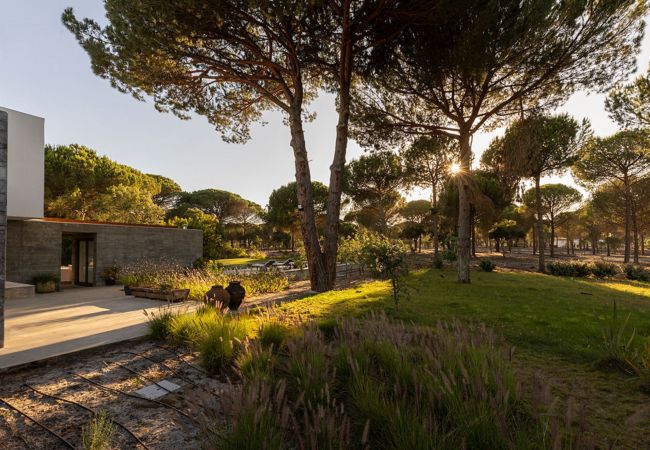 Villa in Melides - The Pine Tree Comporta Villa by TGC