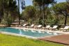 Villa in Melides - The Pine Tree Comporta Villa by TGC