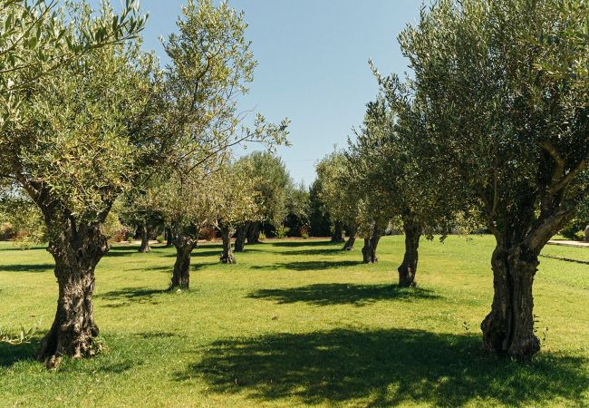 Villa in Luz de Tavira - Tavira Luxury Villa