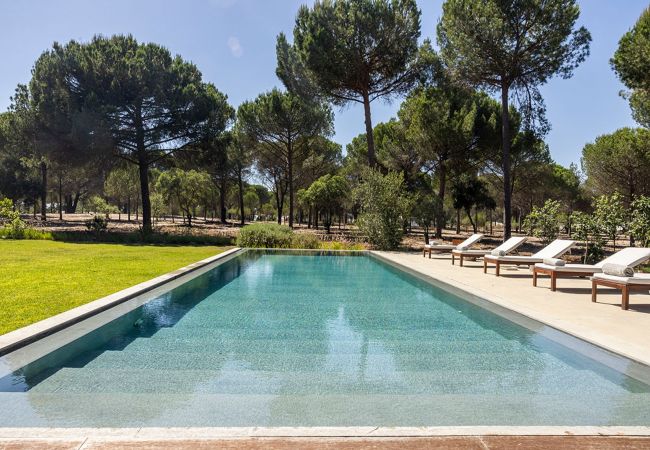 Villa in Grândola - Comporta Forest Villa