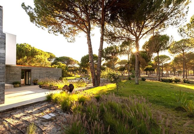 Villa in Grândola - Comporta Forest Villa