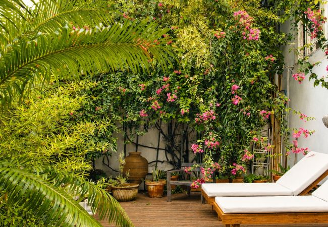 Terraced House in Lisbon - Top Luxury Design Townhouse Pool